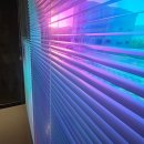 리즈앤코 이미지