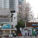 버스정류장(송정초교) 이미지