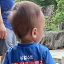 선유 이미지