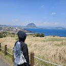 (주)승지소프트 | 민수는 혼란스럽다