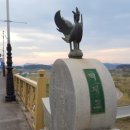 백마강생활체육공원 축구장 이미지