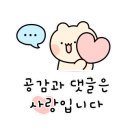 가평 아름마루 독채 애견펜션2 이미지