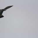 장항중앙초등학교 이미지