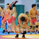 필승관 레슬링 이미지