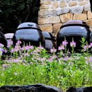 선문염송설화 이미지