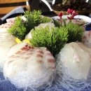 우정횟집 이미지