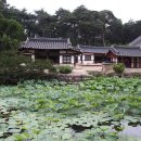 연정낚시터 | 경주의 누정(樓亭)Ⅱ-수재정,종오정,포석정,관가정,심수정,덕봉정사