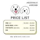 댕교오겠습니다 이미지