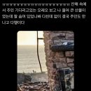 LA 화재로 집을 잃은 남자가 5일 뒤 자신의 개 'Oreo'가 살아 있는 것을 발견하고 포옹하는 영상 이미지