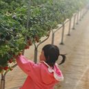 삼오농장 이미지