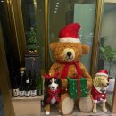 구로-구로-구로-837 이미지