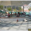 마금산온천 이미지