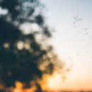 바람소리 | 귀에서 바람소리 들릴 때 확인해야 할 증상과 원인