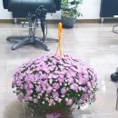 펌앤컷헤어샵 - 서대문구 통일로 387-1 | 펌앤컷헤어샵