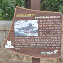 정발산로 이미지