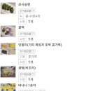 소문난국마당 네이버블로그