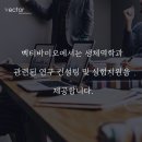 벡터컨설팅