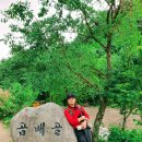 곰배령식당 이미지