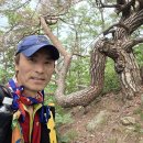 9정맥11차＜34＞낙동4(한티재~이티재)) 14 km.. 보충산행 이미지