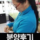 헬로펫 여수 이미지