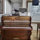 선원상회 이미지