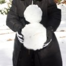 시고르스테이 이미지