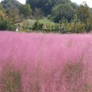 악양생활체육공원 이미지