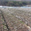 만리농장 이미지