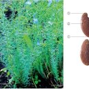 호매실역 약국 이미지