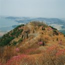 강화줌마