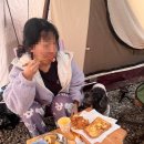 멍멍아 산책가자 | 올해 처음이자 마지막 가을캠핑, 먹부림파티는 역시 따봉캠핑장에서!