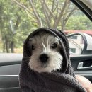 (주)퍼니팩 | [서울 근교 여행] 가평 취사 가능한 계곡 물놀이 스팟!항아리바위 계곡 후기