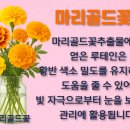 현대메디칼약국 이미지