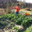 영준 농장 이미지