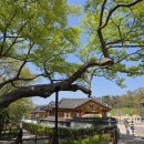 천록(아) 이미지