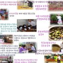 이가네농장 이미지