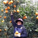 지성농장 이미지