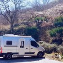 매화랜드 앞 이미지