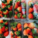 본궁농장 이미지