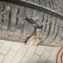 타이어프로 오천점 이미지