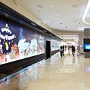 비디오랜드 이미지