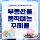 부동산을 배우고 싶은 분들을 위한 여러가지 부동산 활동 부문들!