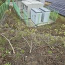 효심 태양광발전소 이미지