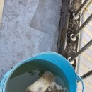 MUNG MOO | 대구보일러배관청소 주택 가스보일러배관 스케일제거