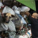 중부유통 이미지