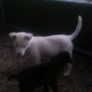 가람농장 이미지