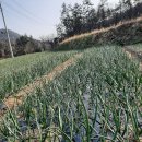 하동농장 이미지