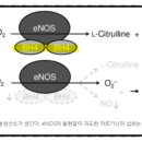 셀메드큰사랑약국 네이버블로그