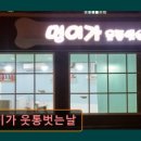 멍이가 웃통벗는날 | 대구 반려동물비용 애견미용 강아지 고양이 멍이가 웃통벗는날 맞춤 케어로 신뢰받는 곳