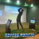 맥켄리스크린골프